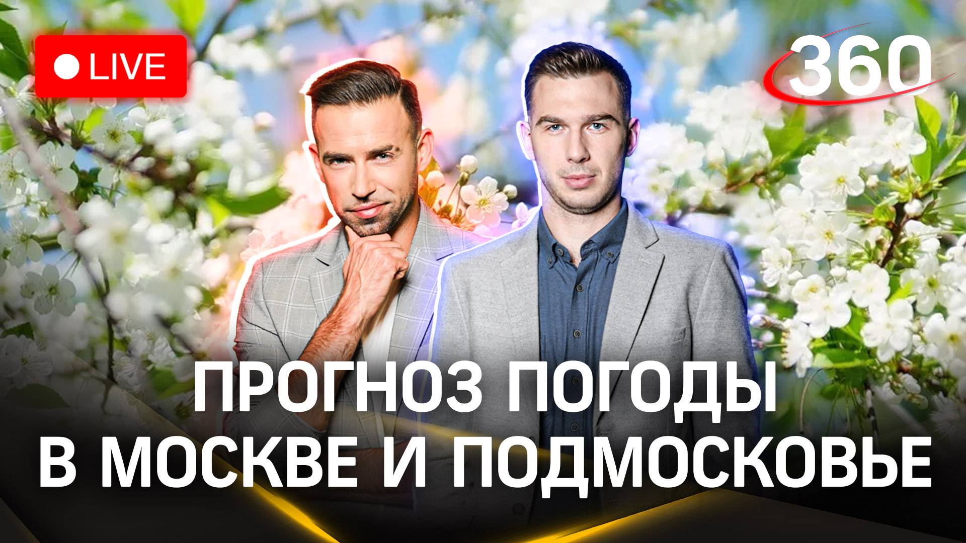 Метеострим. Прогноз погоды в Москве и Подмосковье | Шубенков. Илич