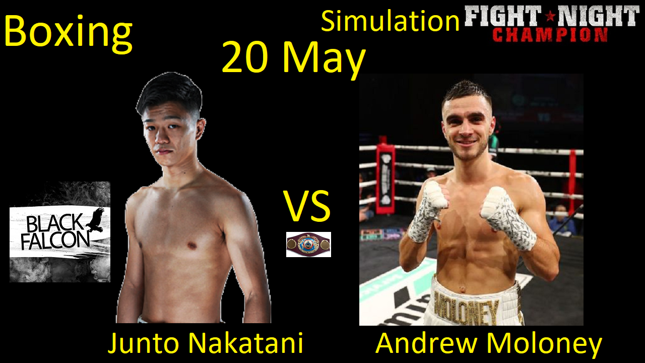 Дзюнто Накатани против Эндрю Молони БОЙ В FIGHT NIGHT CHAMPION