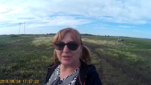 Гуляй поле ландшафтный дизайн для коров смотреть онлайн