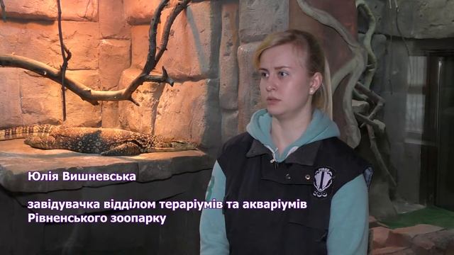 ZOOзум | Випуск 25 | Варан водяний смотреть онлайн