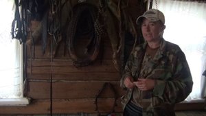 О суевериях про косички в гриве у лошадей. Тайна дворового раскрыта.