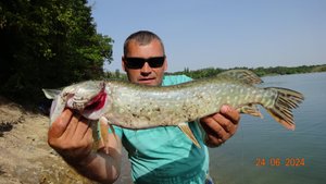 ДОННАЯ ЛОВЛЯ! СУДАКА ЩУКИ НА ЖИВЦА.