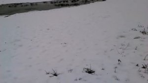 Коп с X-TERRA 705 №3