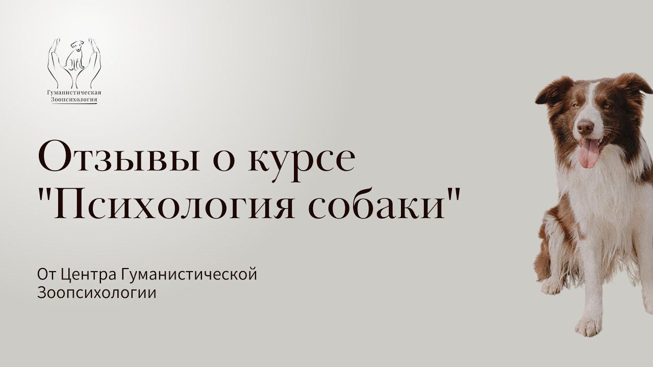 Отзывы о курсе по Зоопсихологии смотреть онлайн