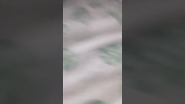 25 ноября 2023 г.