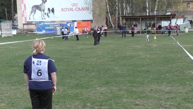 Чемпионат Московской области 2016 г. по ОКД и ЗКС. смотреть онлайн