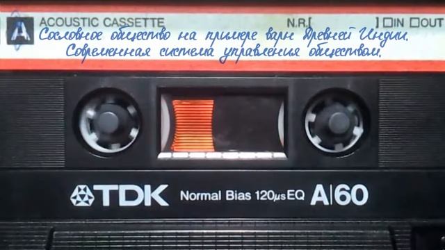 Сословное общество на примере варн Древней Индии. Современная система управления обществом.