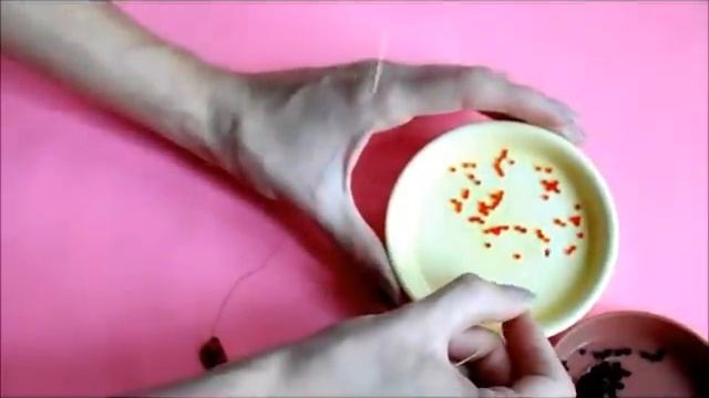 Бисероплетение / Божья коровка из бисера / Ladybug смотреть онлайн