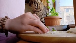 Натуральное питание кошек 2 ? / Рецепт натурального питания кошек / ? Капуста для кошек / Whiskas