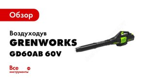 Обзор: Greenworks Воздуходув аккумуляторный GD60AB 60V
