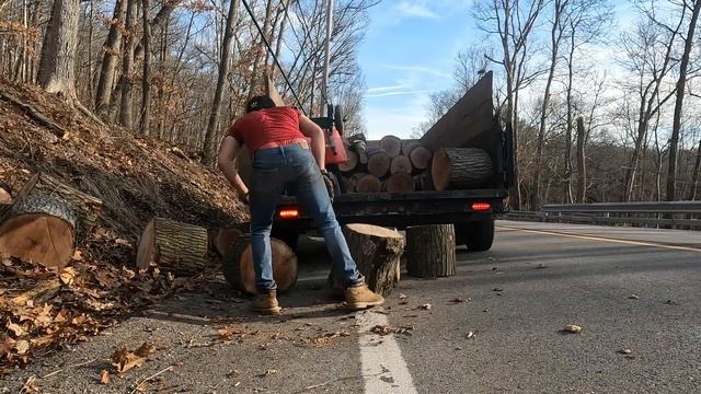 Roadside Logging Day 3: White and Red Oak Firewood смотреть онлайн