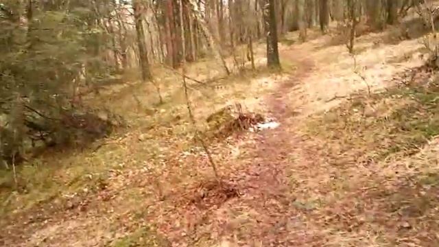 Nissan almera Trip 15 смотреть онлайн