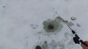 Покатушка на снегоходе с Лёхой по окрестностям,за одно зимняя рыбалка 2021