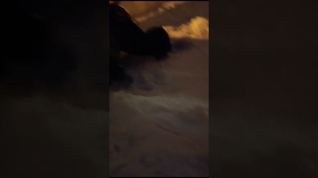 1000025485.mp4 смотреть онлайн