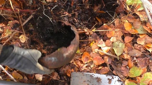 Богатые усадьбы царских времён ? смотреть онлайн