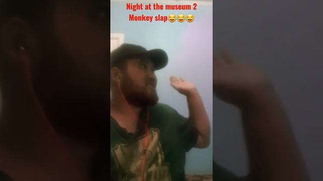 Night at the museum 2 monkey slap.???