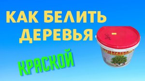 Побелка для деревьев, краска или известь, что лучше