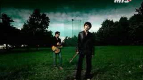 Корни Плакала берёза