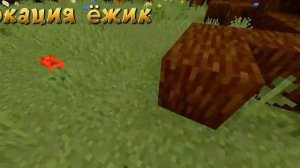 Гуси лебеди конец🦢/Geese swans end🦢