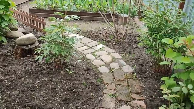 ДАЧА//СОЧНАЯ ЗЕЛЕНЬ//ОБЗОР С ПРИСТРАСТИЕМ смотреть онлайн