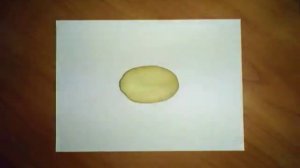 лабораторная работа изучение клубня картофеля