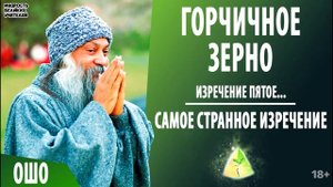5. "Самое странное изречение". ОШО. ГОРЧИЧНОЕ ЗЕРНО