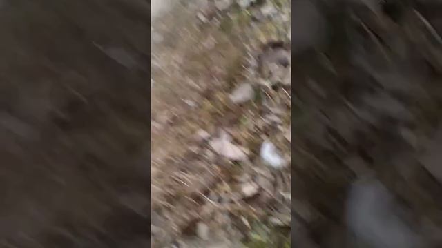 Один факт о духах смотреть онлайн