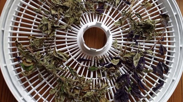 КАК Я ДЕЛАЮ УНИВЕРСАЛЬНУЮ ПРИПРАВУ смотреть онлайн