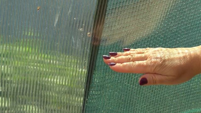 Затеняющая сетка Агротекс для теплицы. Обзор 7 семян.
