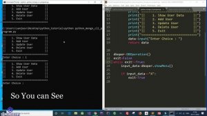 Python MongoDB Tutorial Part 13