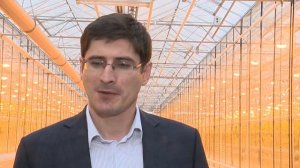 Светокультура в агрокомбинате "Горьковский"