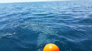 Как поднять якорь с помощью лодочного мотора 1