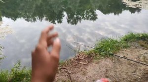 Неудачная рыбалка на Путяевских прудах/парк Сокольники.