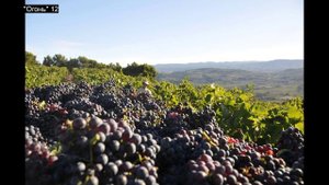 Огонь. Арговаль. Собака. А.Барбюс.