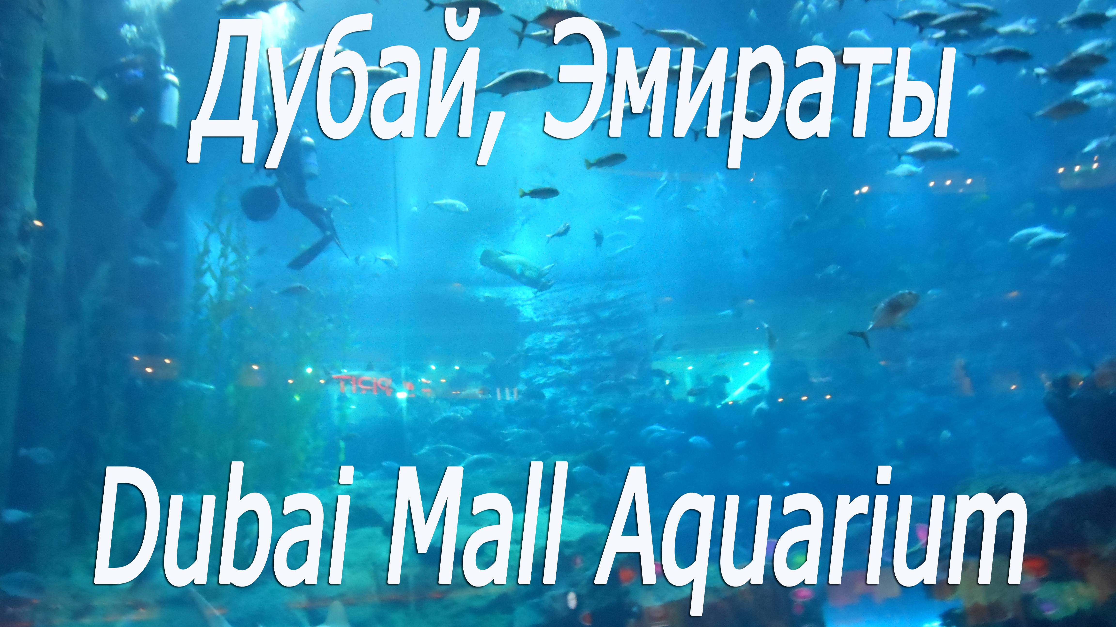 Дубай, Эмираты, Дубай Молл Аквариум #Dubai, UAE, Dubai Mall Aquarium