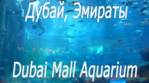 Дубай, Эмираты, Дубай Молл Аквариум #Dubai, UAE, Dubai Mall Aquarium