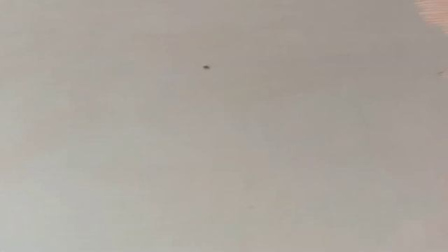 как быстро выровнять стены, под покраску