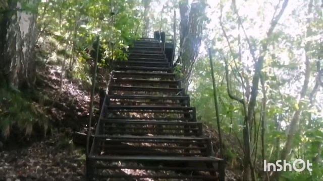 Как пройти на озеро Ая бесплатно 🙈 в Горном Алтае😁.   #горныйалтай #shortvideo #жизненныеистории