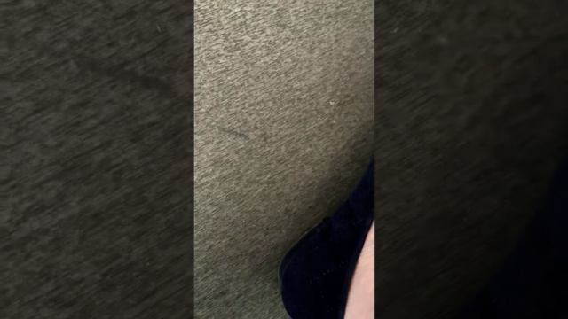 МОЗОЛЕЙ НЕ БУДЕТ #домоводстворецепты #советы #лайфхаки смотреть онлайн