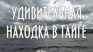 Удивительная, невероятная находка в тайге. Что  это?