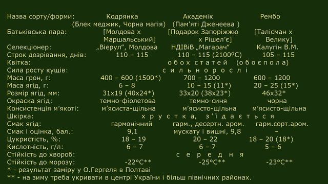 @Порівняння виноградів Кодрянка, Академік, Рембо смотреть онлайн