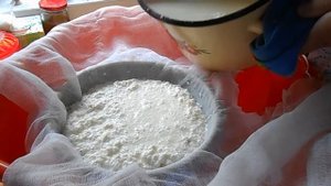 Домашний  творог  из магазинного молока.