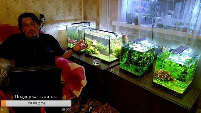 Питательная подложка из земли. Опыт использования. смотреть онлайн