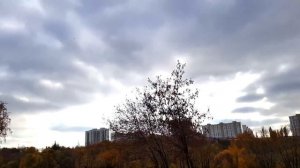 Я СЛЕЖУ ЗА ПАРНЕМ 24 ЧАСА ПРАНК И ЧЕЛЛЕНДЖ / С КЕМ ГУЛЯЕТ ПАВЛИК КОГДА Я НЕ ВИЖУ