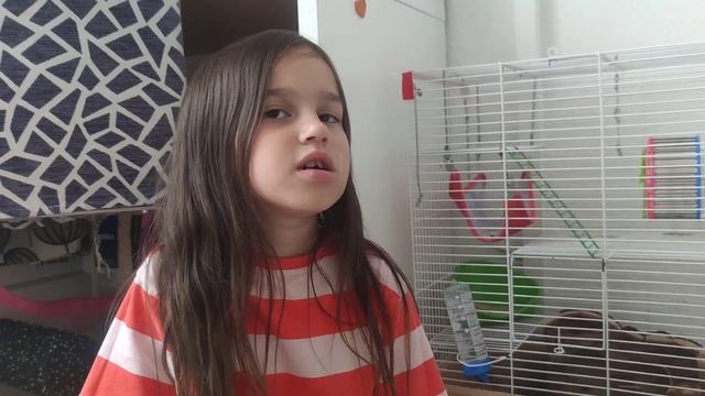 УХОД ЗА МОИМИ ХОМЯЧКАМИ!!! ЧЕЕК? смотреть онлайн