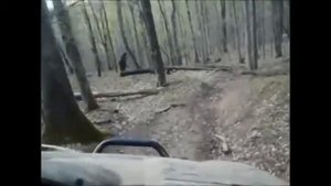 В Вирджинии дровосек в лесу заснял снежного человека