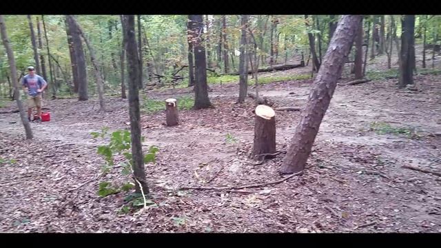 Sunday Funday "GIT R DUN" Edition! Tree Take Down with the Honda Rancher 420 смотреть онлайн