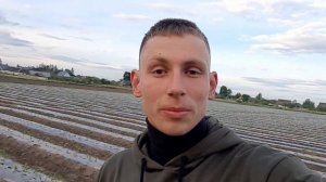 садим ПОМИДОР в открытый грунт 2022
