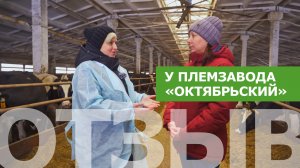 В гостях у племзавода «Октябрьский», Кировской области