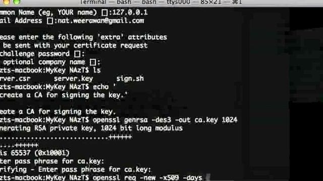 How to : Creating Certificate Authorities and self-signed SSL certificates. смотреть онлайн